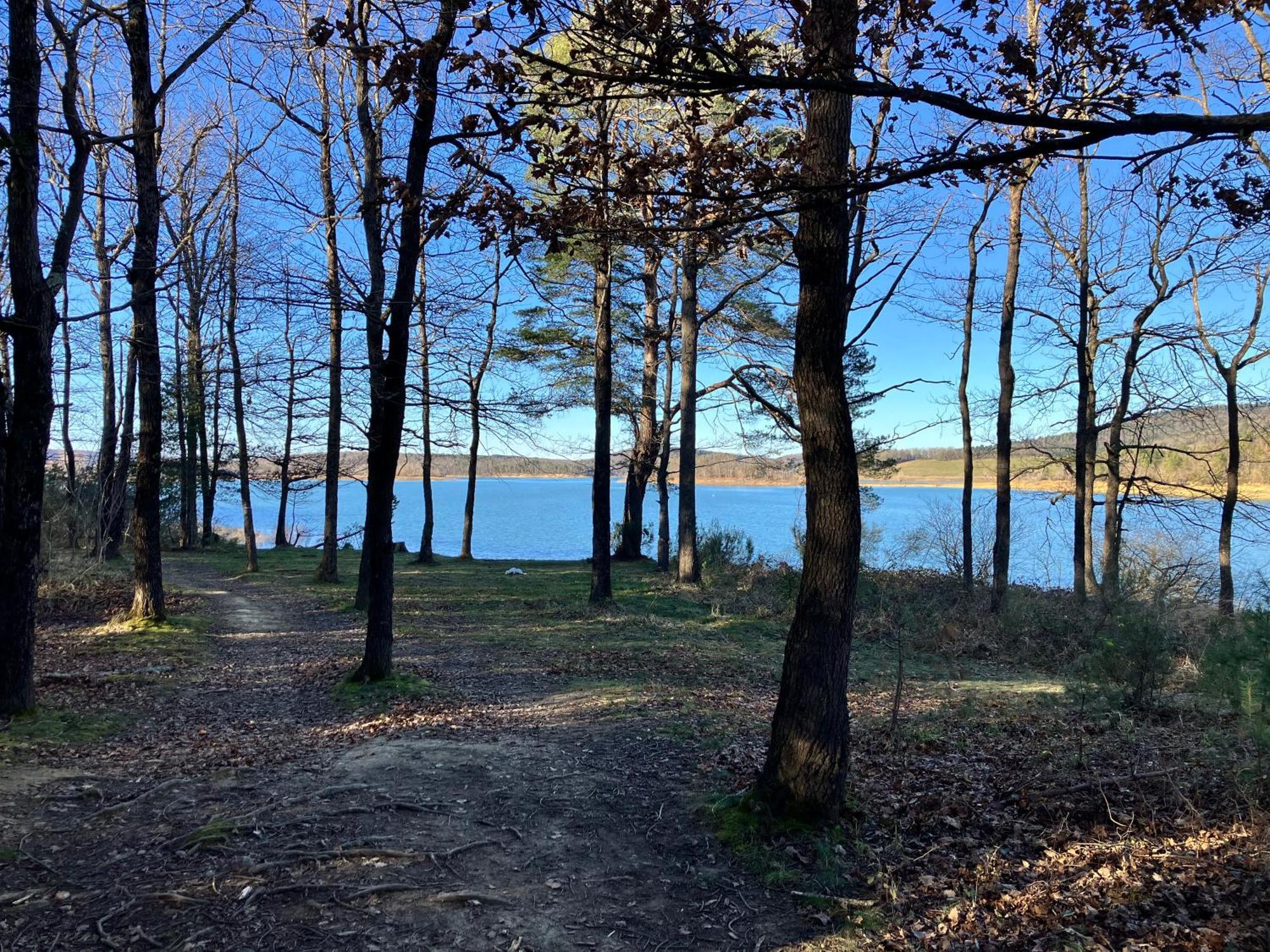 Maison Avec Vue Sur Le Lac De Montbel 외부 사진